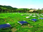 北京积极推动生态殡葬建设，加快首都殡葬改革步伐