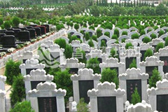 墓地“一墓难求”，中国人的“根”在哪里？