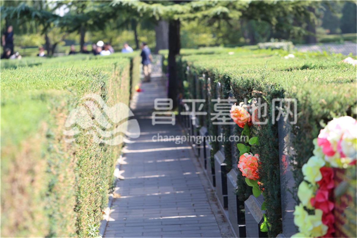 长青园陵园墓地图片,长青园陵园景观图在线查看_北京陵园网