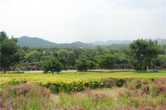 华龙皇家陵园景观