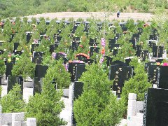 爷爷奶奶在公墓父母的墓地怎么选分开可以吗