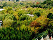 在北京十三陵长陵镇,看看这个北京大型的树葬陵园景仰园
