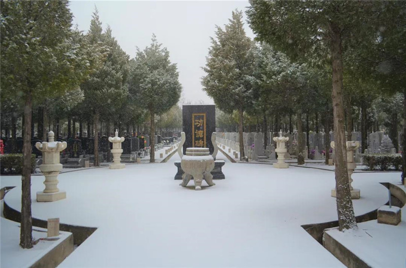赏雪|官厅中华永久陵园图4
